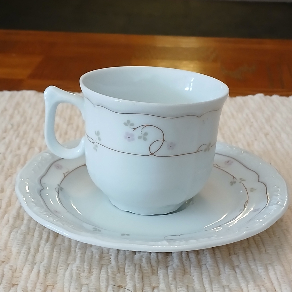 Vintage Santa Clara Porcelain Tea Cup and Saucer